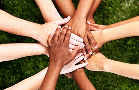 Disability Royal Commission advocacy and counselling supports