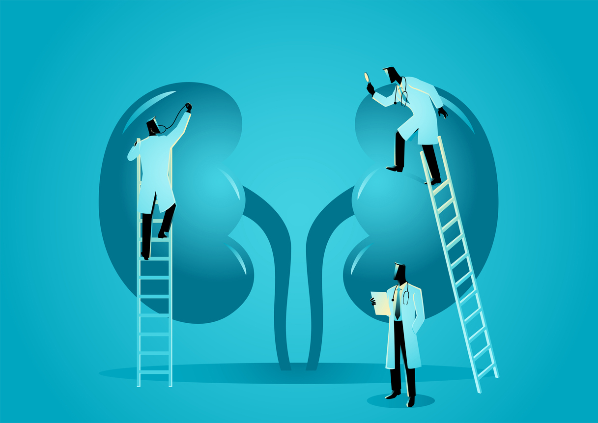urinary system illustration urinary retention