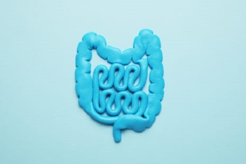 bowel-healthy Healthy bowel image