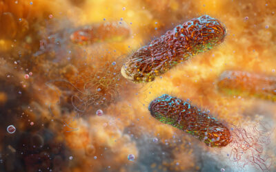 Biofilm in Wound Healing: Identification, Management & Healing Strategies